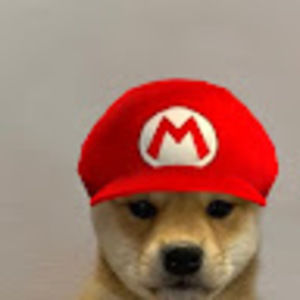 Meet your Posher, Nikofreako